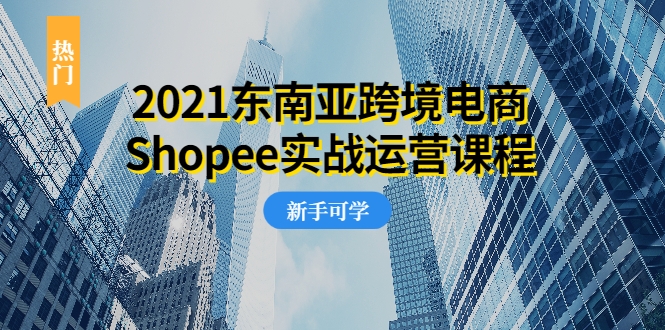 2021东南亚跨境电商Shopee实战运营课程,0基础、0经验、0投资的副业项目-第一资源库