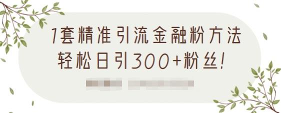 1套精准引流金融粉方法,轻松日引300+粉丝-第一资源库