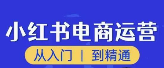 顽石小红书电商高阶运营课程,从入门到精通,玩法流程持续更新-第一资源库