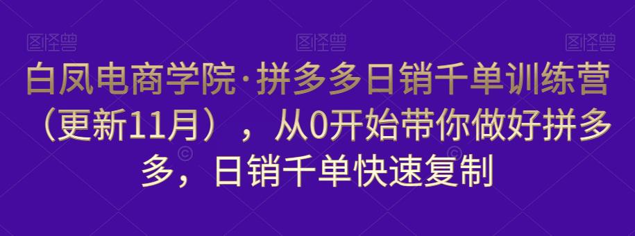 白凤电商学院·拼多多日销千单训练营,从0开始带你做好拼多多,日销千单快速复制(更新知2023年3月)-第一资源库