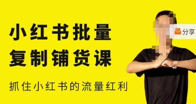 张宾·小红书批量复制铺货课,小红书0-1快速起号变现玩法,抓住小红书的流量红利(更新2023年3月)-第一资源库