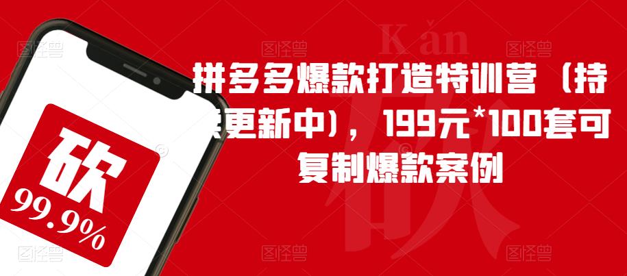 拼多多爆款打造特训营(持续更新中),199元*100套可复制爆款案例-第一资源库
