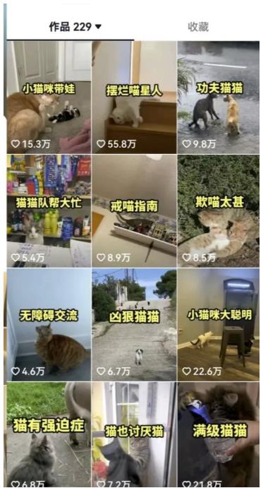 拆解抖音盘点类中视频变现副业项目,视频版一条龙大解析分享给你【视频课程】-第一资源库