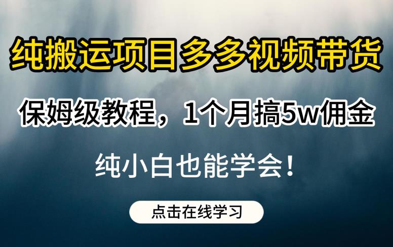 纯搬运项目多多视频带货保姆级教程,1个月搞5w佣金,纯小白也能学会【揭秘】-第一资源库
