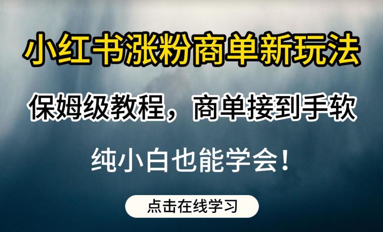 小红书涨粉商单新玩法,保姆级教程,商单接到手软,纯小白也能学会【揭秘】-第一资源库