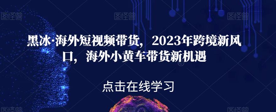 黑冰·海外短视频带货,2023年跨境新风口,海外小黄车带货新机遇-第一资源库