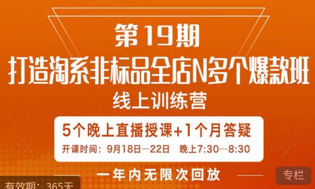 打造淘系非标全店N多个爆款线上课,5天直播课-第一资源库