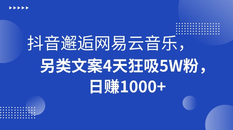 抖音邂逅网易云音乐,另类文案4天狂吸5W粉,日赚1000+【揭秘】-第一资源库