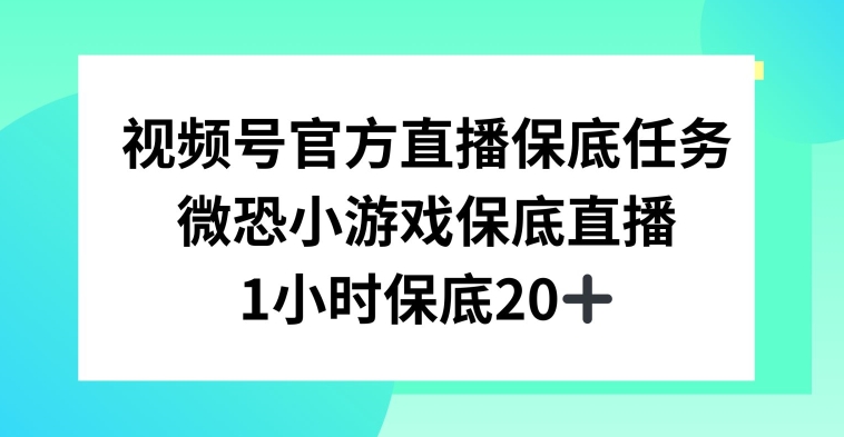 视频号直播任务,微恐小游戏,1小时20+【揭秘】-第一资源库