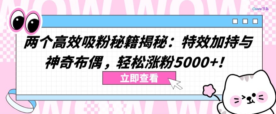 两个高效吸粉秘籍揭秘:特效加持与神奇布偶,轻松涨粉5000+【揭秘】-第一资源库
