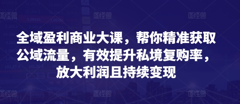 全域盈利商业大课,帮你精准获取公域流量,有效提升私境复购率,放大利润且持续变现-第一资源库