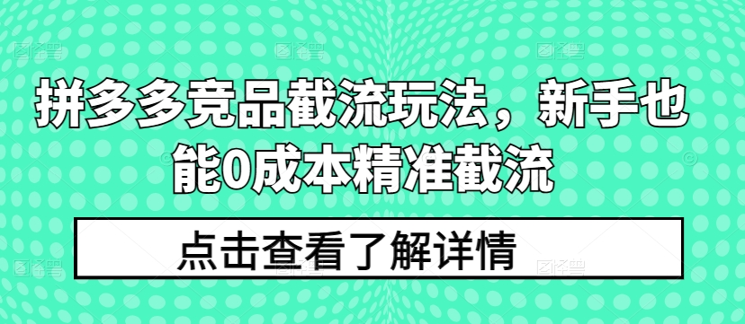 拼多多竞品截流玩法,新手也能0成本精准截流-第一资源库