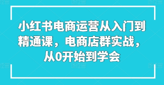 小红书电商运营从入门到精通课,电商店群实战,从0开始到学会-第一资源库