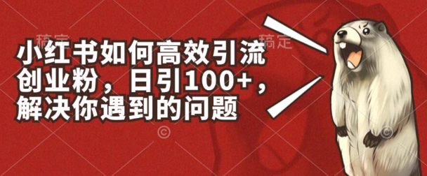 小红书如何高效引流创业粉,日引100+,解决你遇到的问题【揭秘】-第一资源库