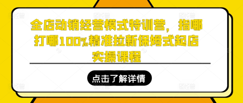 全店动销经营模式特训营,指哪打哪100%精准拉新保姆式起店实操课程-第一资源库