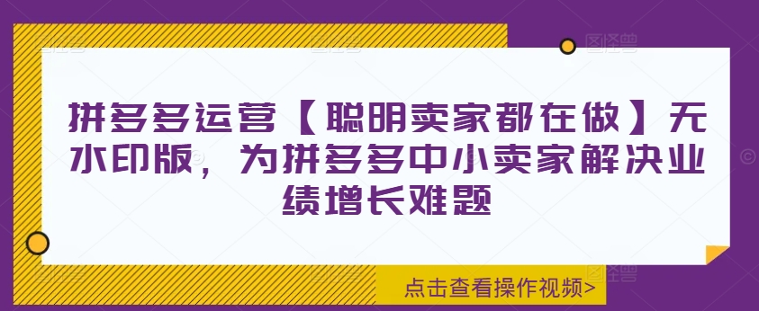 拼多多运营【聪明卖家都在做】无水印版,为拼多多中小卖家解决业绩增长难题-第一资源库