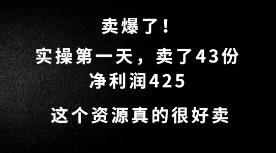 这个资源,需求很大,实操第一天卖了43份,净利润425【揭秘】-第一资源库