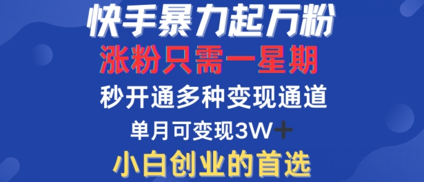 快手暴力起万粉,涨粉只需一星期,多种变现模式,直接秒开万合,单月变现过W【揭秘】-第一资源库