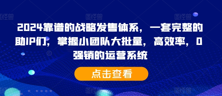 2024靠谱的战略发售体系,一套完整的助IP们,掌握小团队大批量,高效率,0 强销的运营系统-第一资源库