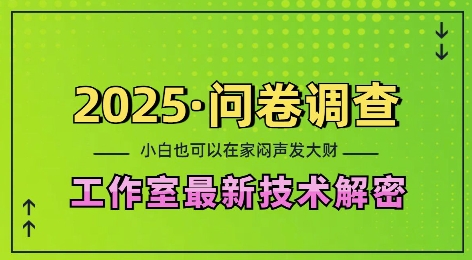 2025问卷调查最新工作室技术解密:一个人在家也可以闷声发大财,小白一天2张,可矩阵放大【揭秘】-第一资源库