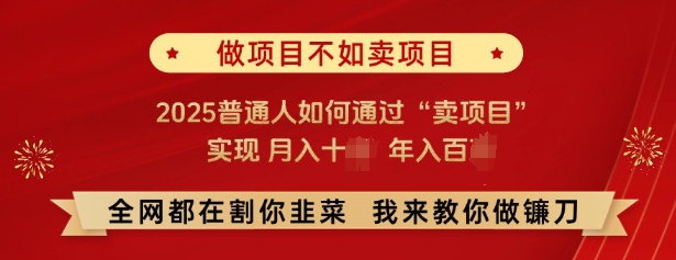必看,做项目不如卖项目,2025普通人如何通过“卖项目”实现月入十个,年入百个-第一资源库