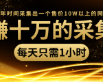 年赚十万的采集站,每天却只需要1小时,一年时间采集出一个售价10W以上的网站-第一资源库