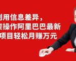 利用信息差异,零投资操作阿里巴巴最新管道项目轻松月赚10000+-第一资源库
