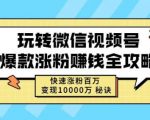 玩转微信视频号爆款涨粉赚钱全攻略,快速涨粉百万变现万元秘诀-第一资源库