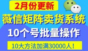 微信矩阵卖货系统,多线程批量养10个微信号,10种加粉落地方法,快速加满3W人卖货!-第一资源库