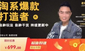 锋投老叶全店动销,淘系干货汇总,各种玩法,淘系爆款打造者-第一资源库