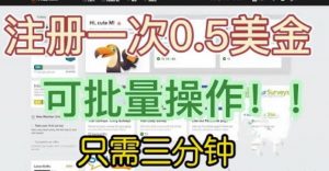 国外项目注册一次0.5美金,只需三分钟无脑操作,可批量同时放大操作,小白工作室福利【揭秘】-第一资源库