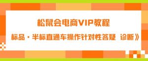 松鼠会电商VIP教程:松鼠《付费推广标品·半标直通车操作针对性答疑&诊断》-第一资源库