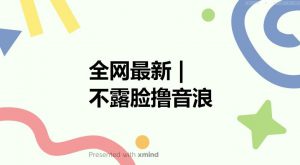 全网最新不露脸撸音浪,跑通自动化成交闭环,实现出单+收徒收益最大化【揭秘】-第一资源库