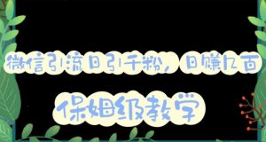 微信互推圈半自动引流方案,矩阵操作日引千人思路【详细视频教程】-第一资源库