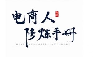 照顾酱·电商人修炼手册,从0到1,手把手教你理解淘宝运营底层逻辑-第一资源库