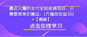 最近火爆的支付宝短视频项目,只需要简单的搬运,1万播放收益300+【揭秘】-第一资源库