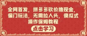 全网首发,拼多多砍价撸现金,偏门玩法,无需拉人头,傻瓜式操作保姆教程【揭秘】-第一资源库