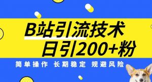 B站引流技术:每天引流200精准粉,简单操作,长期稳定,规避风险-第一资源库