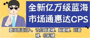 全新亿万级蓝海市场通惠达cps,最强管道收入,让你睡着赚、躺着赚、玩着赚、轻松赚【揭秘】-第一资源库
