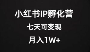 价值2000+的小红书IP孵化营项目，超级大蓝海，七天即可开始变现，稳定月入1W+-第一资源库