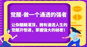 觉醒-做一个通透的强者,让你醍醐灌顶,拥有通透人生的觉醒开悟课,掌握强大的秘密!-第一资源库