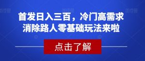 首发日入三百,冷门高需求消除路人零基础玩法来啦【揭秘】-第一资源库