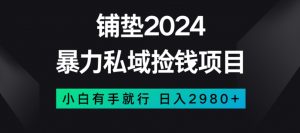 暴力私域捡钱项目,小白无脑操作,日入2980【揭秘】-第一资源库