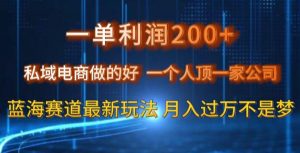 一单利润200私域电商做的好,一个人顶一家公司蓝海赛道最新玩法【揭秘】-第一资源库