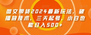 图文带货2024最新玩法，破播放技术，三天起号，小白也能日入500+【揭秘】-第一资源库
