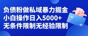 负债粉私域暴力掘金,小白操作入5000,无经验限制,无条件限制【揭秘】-第一资源库