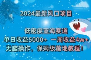 2024最新风口项目，低密度蓝海赛道，单日收益5000+，一周收益4w+！【揭秘】-第一资源库