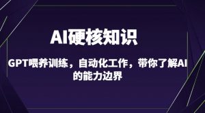 AI硬核知识-GPT喂养训练,自动化工作,带你了解AI的能力边界(10节课)-第一资源库