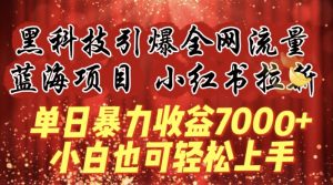 蓝海项目!黑科技引爆全网流量小红书拉新,单日暴力收益7000+,小白也能轻松上手【揭秘】-第一资源库