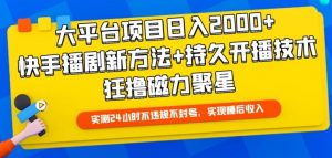 大平台项目日入2000+,快手播剧新方法+持久开播技术,狂撸磁力聚星【揭秘】-第一资源库